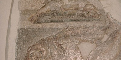 23 Leptis Magna musee poissons en mosa  que p2f