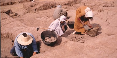 19 Balat fouilles de l IFAO